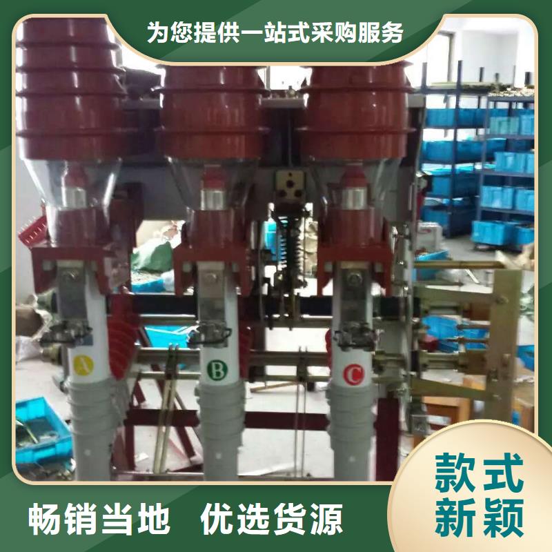 压气式负荷开关(熔断器组合电器)FN12-10RD/125-31.5_本地经销商