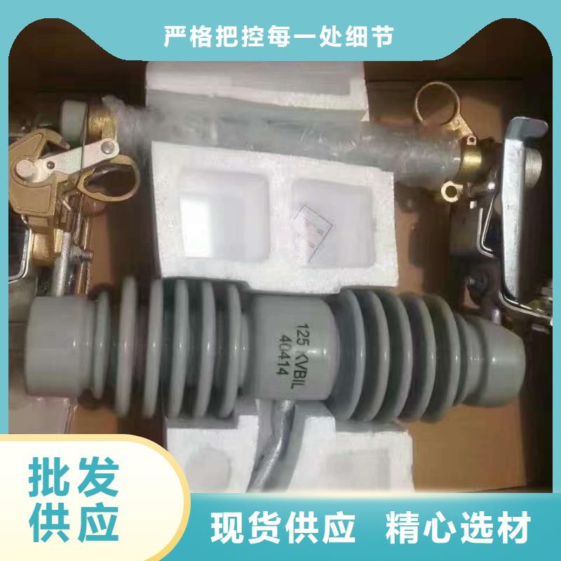 【熔断器】RW12-12/100A同城服务商