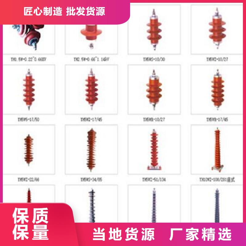 避雷器Y5WT5-100/290S【羿振电气】同城经销商