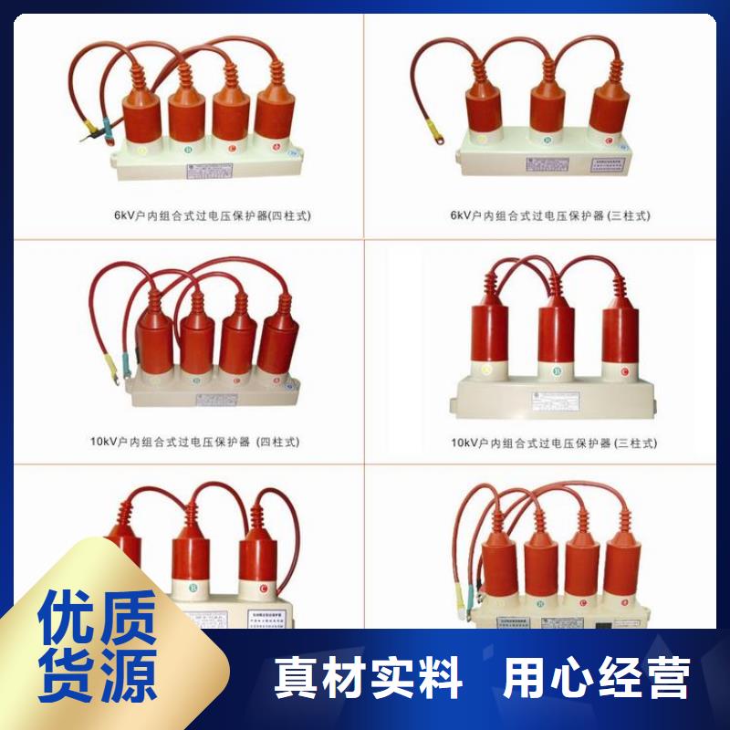 【】保护器(组合式避雷器)BSTG-B-6.3打造行业品质
