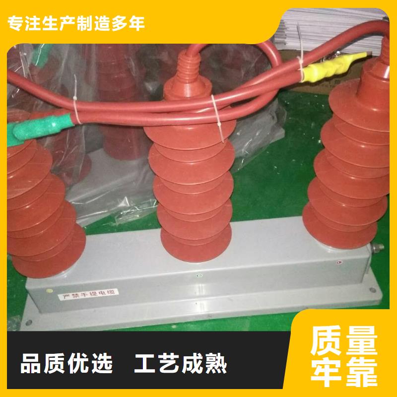 【】保护器(组合式避雷器)BSTG-C-35用好材做好产品