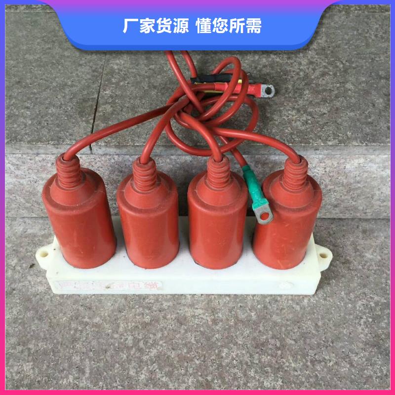 TBP-B-42/400W1过电压保护器生产厂家当地生产厂家