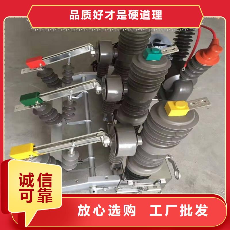 柱上断路器ZW32-12G/1250-31.5同城经销商