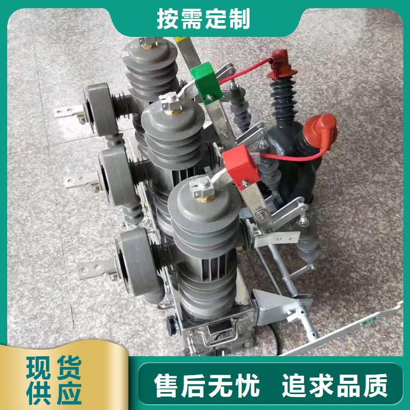 【真空断路器】ZW32-12DG/630本地品牌