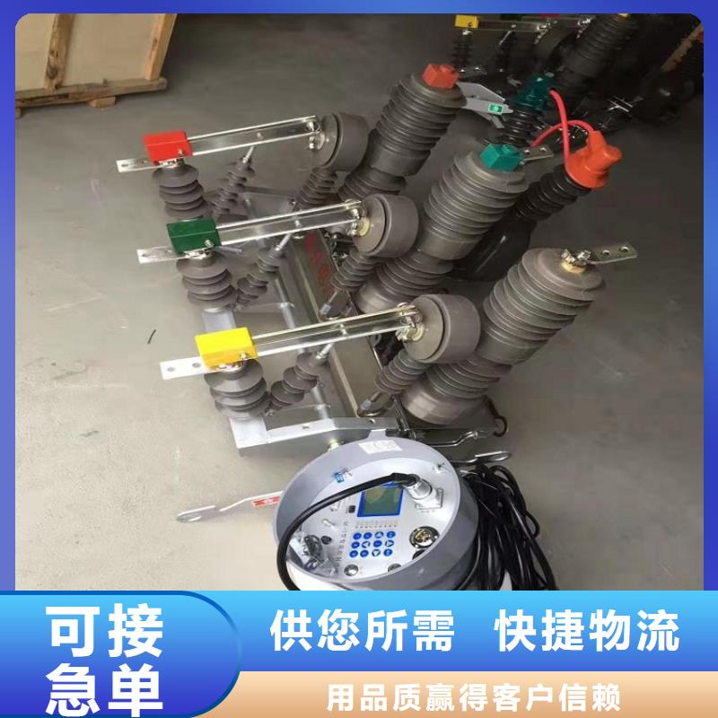 【羿振电力设备】高压断路器ZW32-12G/630-20价格合理