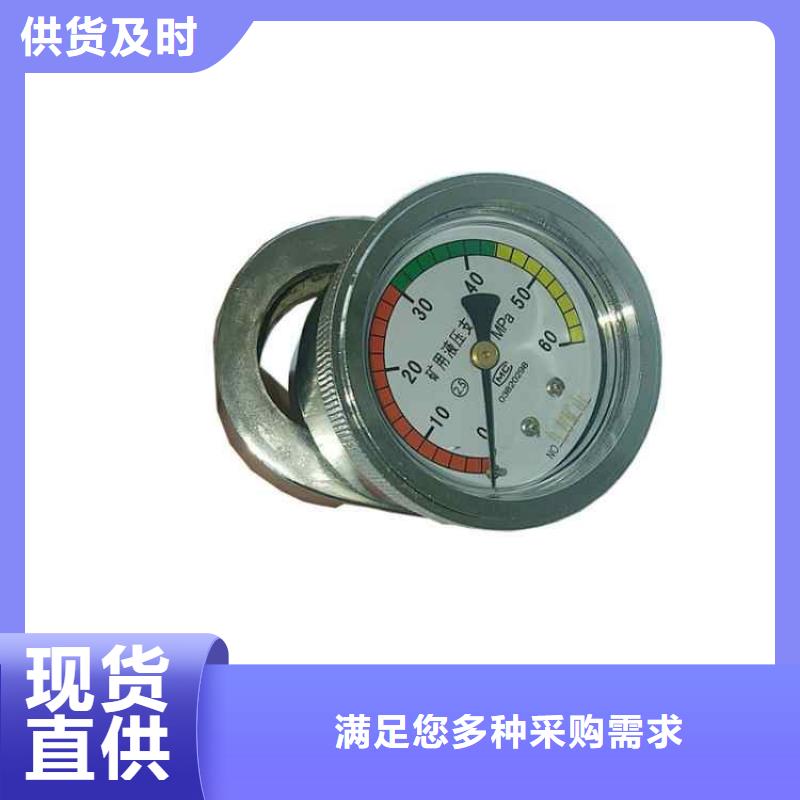 乐东县单体支柱测力计图片品质信得过