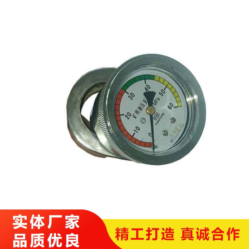 陵水县DZ-60单体支柱测压仪直销价格今日价格