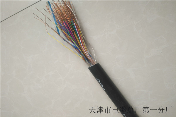 2X2X1.5电缆大型厂家本地制造商