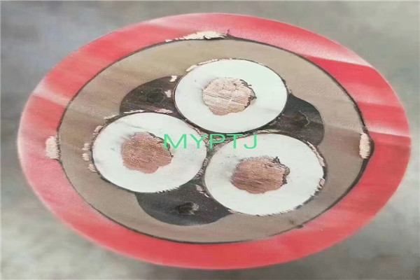 欢迎访问##非铠装电缆	价格##当地货源