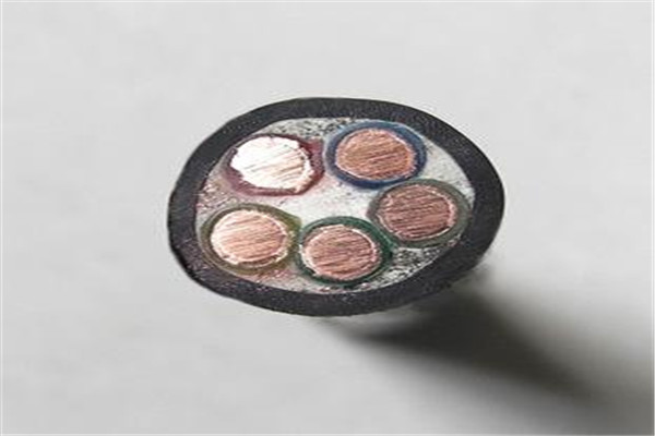 支持定制的铠装14芯控制电缆批发商细节决定成败