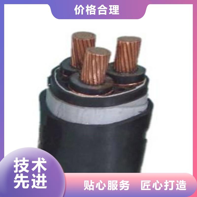 厂家直销ZR-RV1X10平方接地线厂家-长期有效出厂价