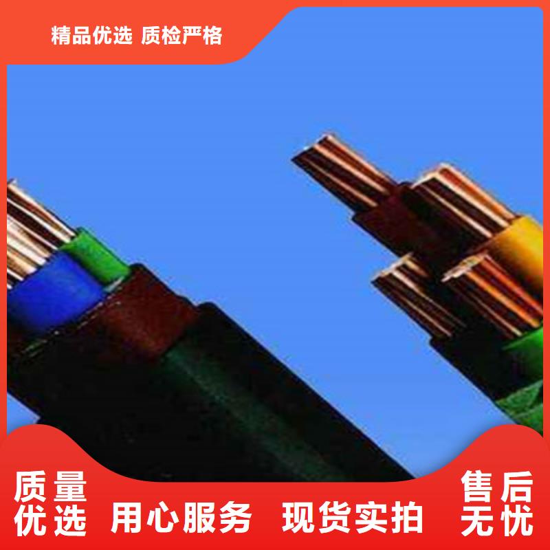 价格合理的优质RS4852X2X18AWG屏蔽双绞通讯电缆生产厂家本地经销商