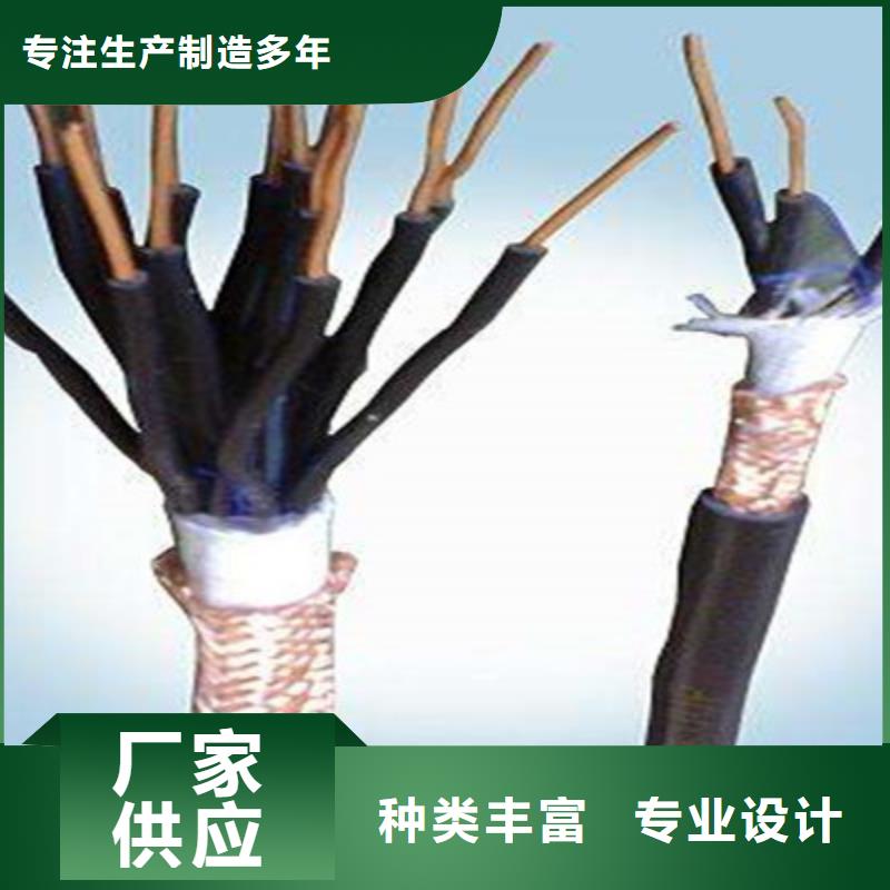 信誉好的DJYP3V2X2X1.5国标纯铜计算机电缆厂家_质量保证品质保证实力见证