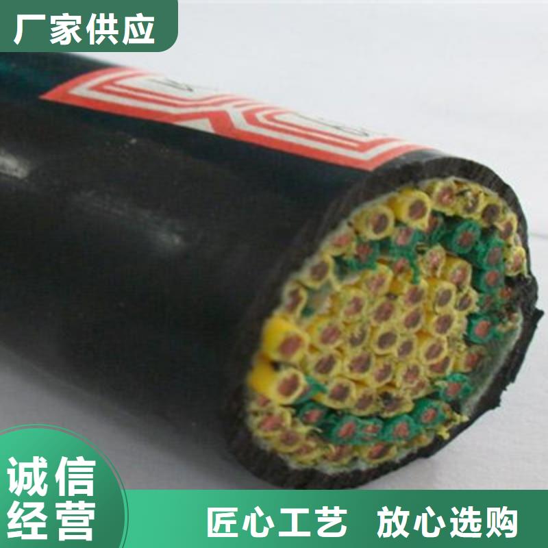 优选：阻燃屏蔽对绞电缆直销供应商敢与同行比质量