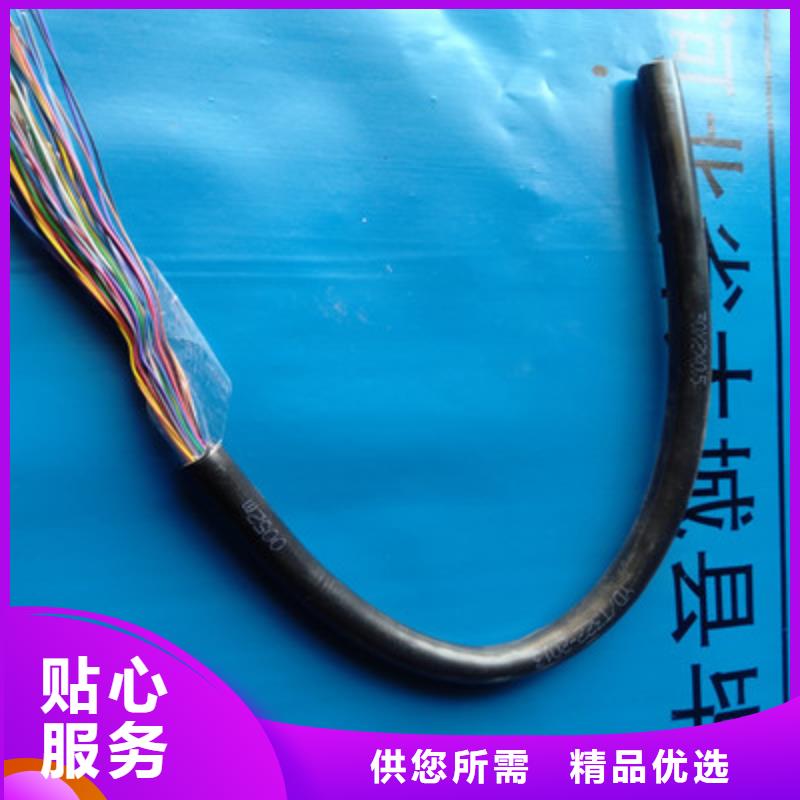 RES485对绞线学校服务始终如一