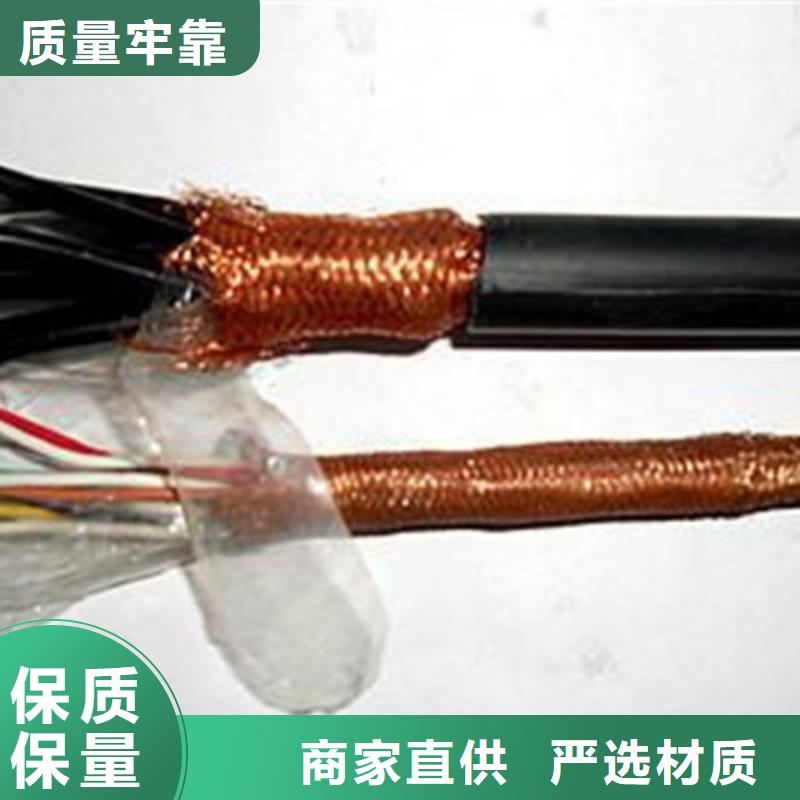 DJYJP3V铠装计算机电缆2X2X2.5本地生产商