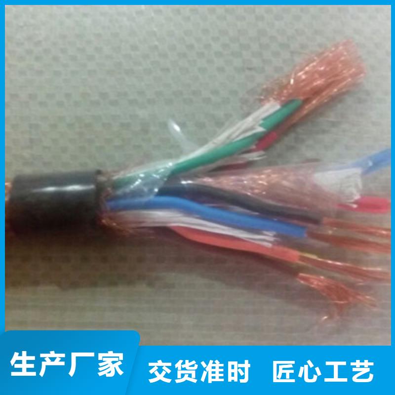 WDZ-DJYJPVP22低烟无卤计算机电缆2X2X0.75本地生产商