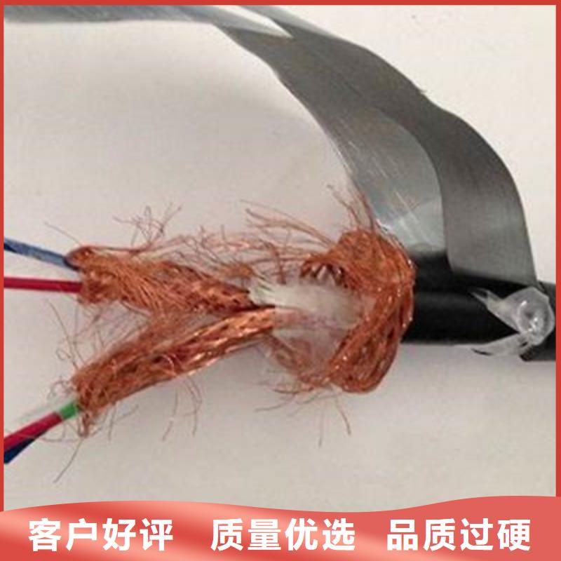 TASTP屏蔽电缆4X2X1.5同城公司