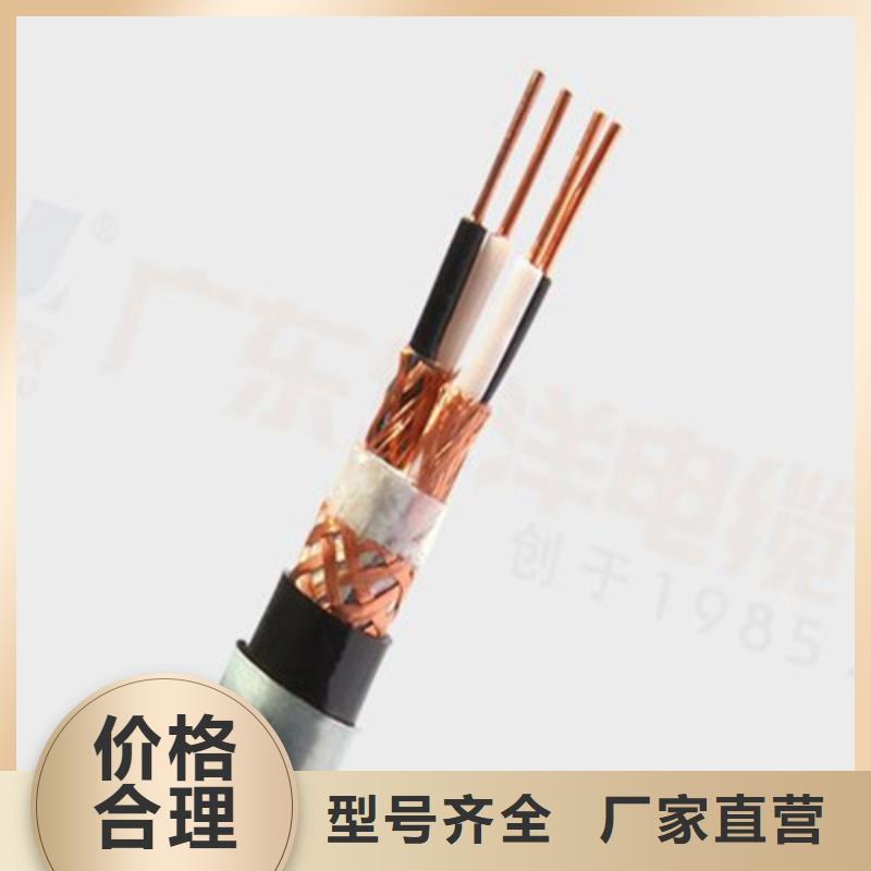 耐高温计算机电缆DJFFRP2现货充足量大优惠