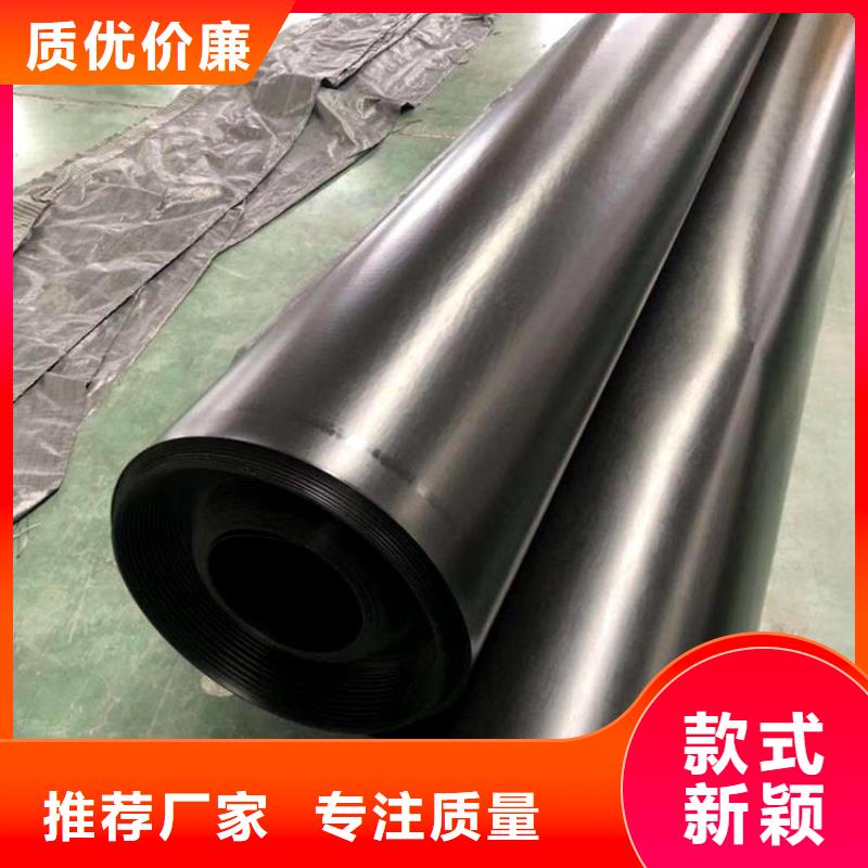 海南定安县1.6mmHDPE土工膜敢与同行比价格