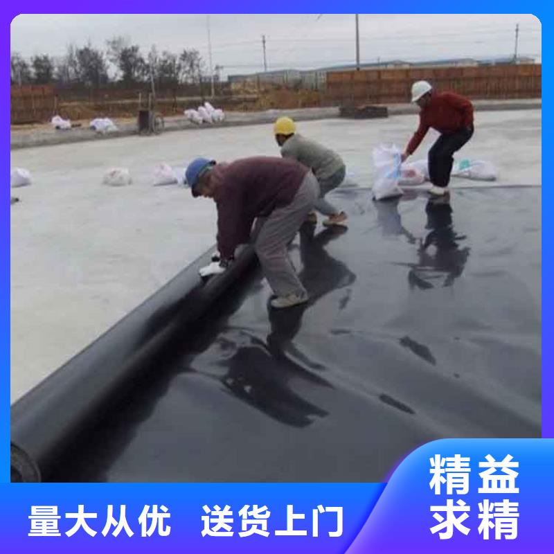 三布两膜复合土工膜本地货源