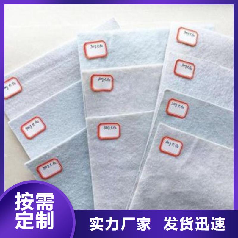 长丝土工布耐低温产地厂家直销