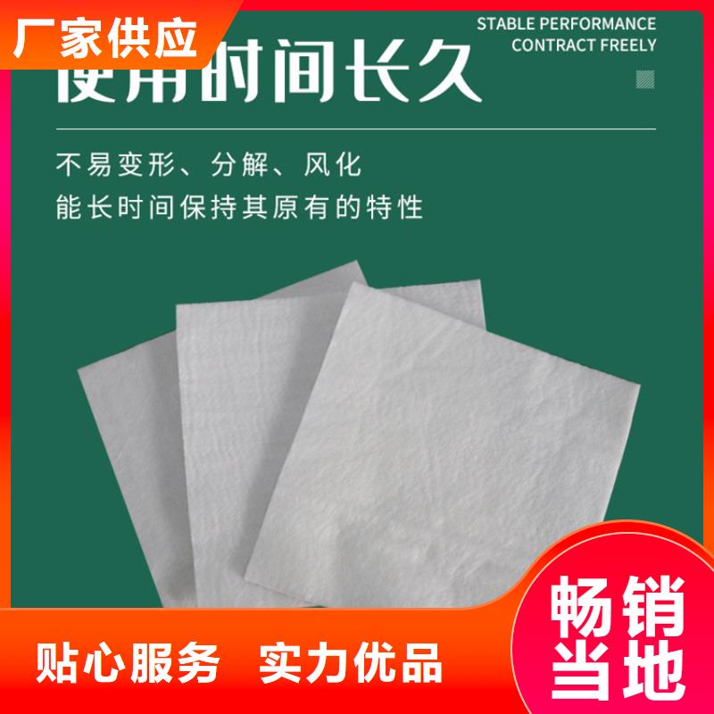 滤水长丝土工布可定制
