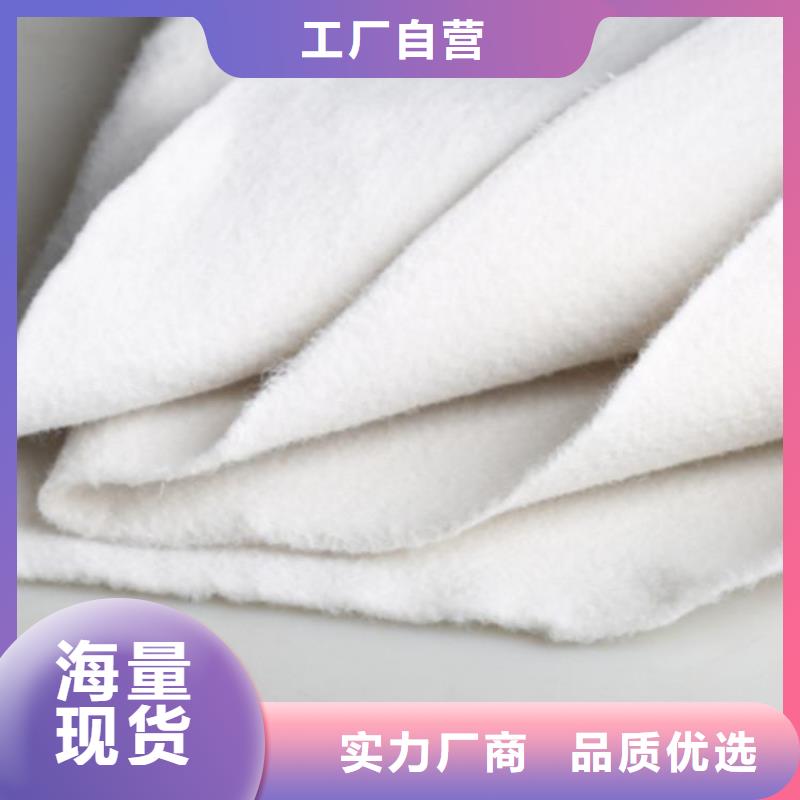 文昌市养护土工布海量现货直销