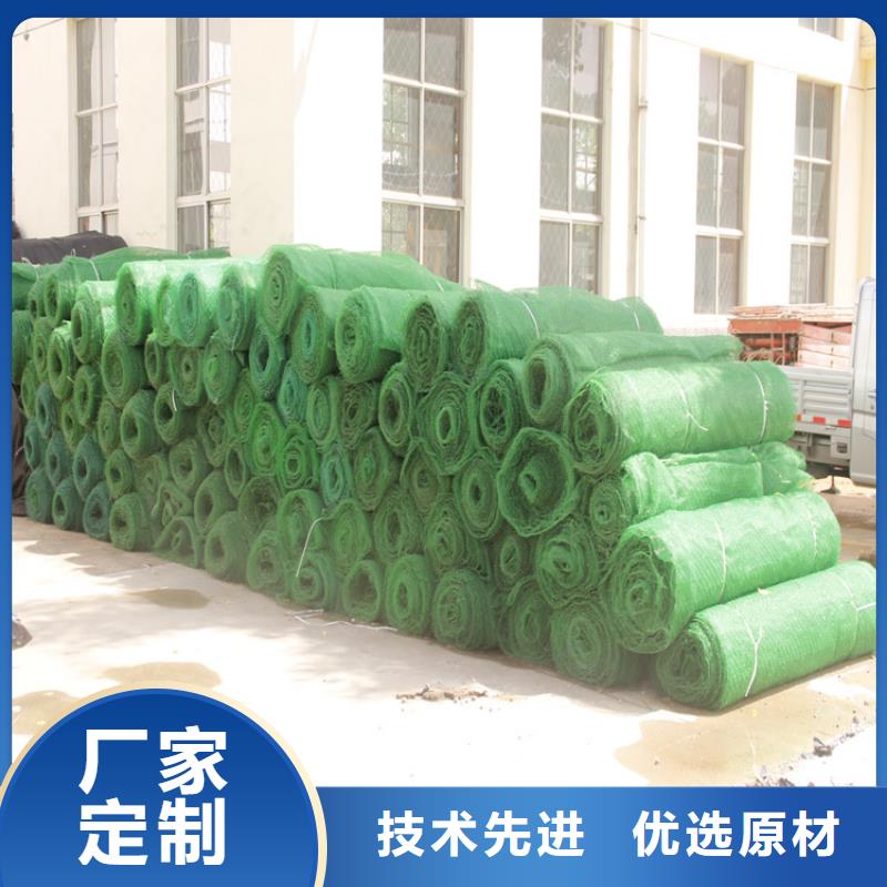 三维植被网固土塑料同城品牌