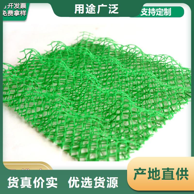 三维土工网垫厂家货源稳定