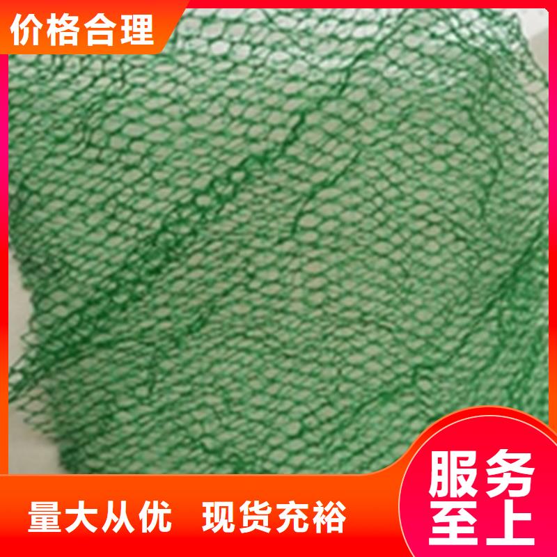 环保护坡三维护坡植草网垫批发货源