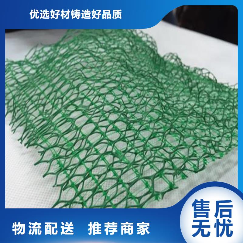 三维土工网垫代理厂家本地生产商
