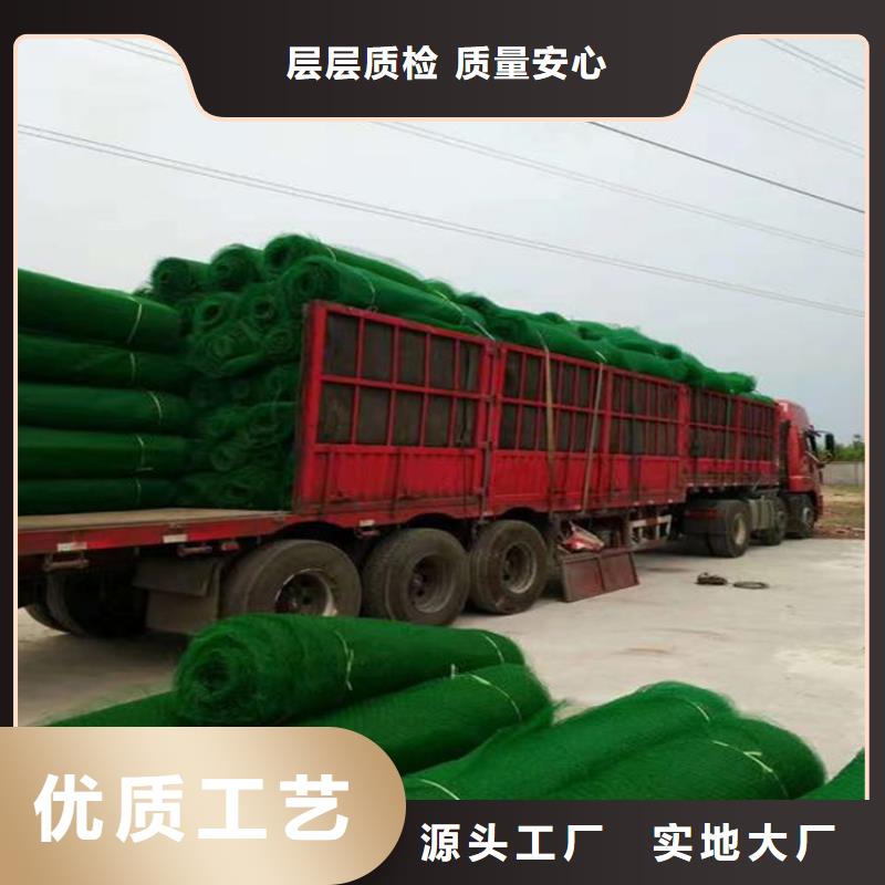 三维植被网市场代理当地生产商