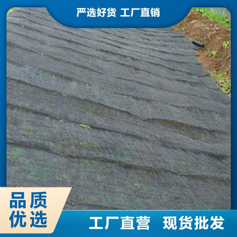 聚酰胺水土保护毯哪里有卖的厂家当地货源