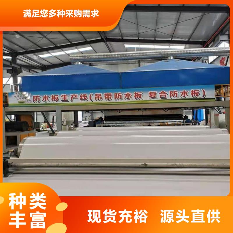 1.2mm防水板使用寿命长实力雄厚品质保障