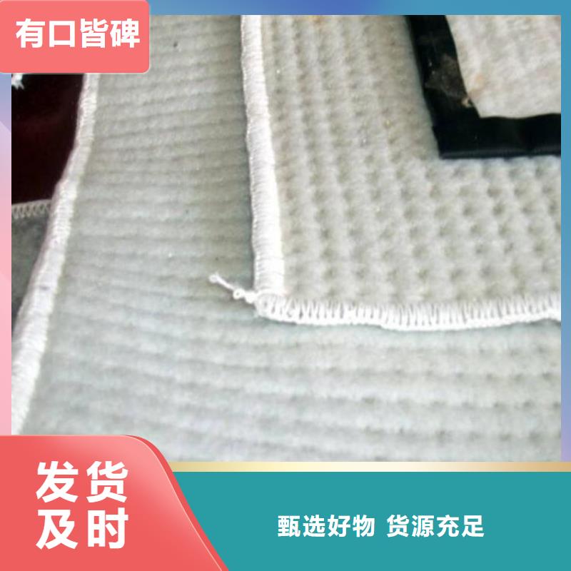 6000g膨润土防水毯批发货源