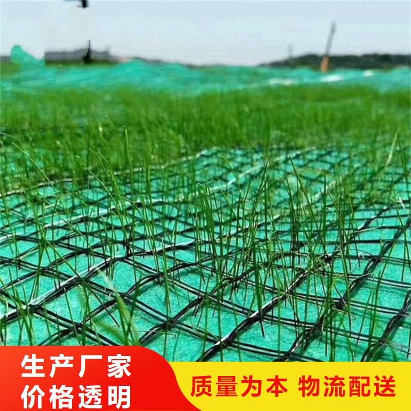 护坡生态草毯椰丝植草毯可定制有保障