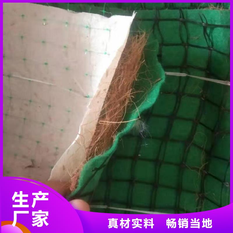 加筋抗冲生态毯本地货源