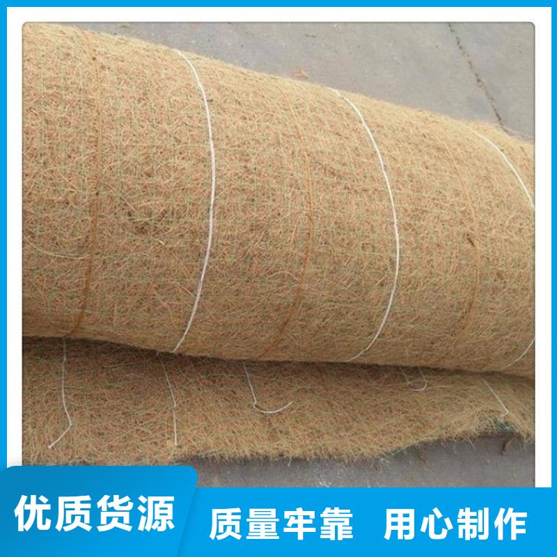 椰丝植生毯施工新闻当地制造商