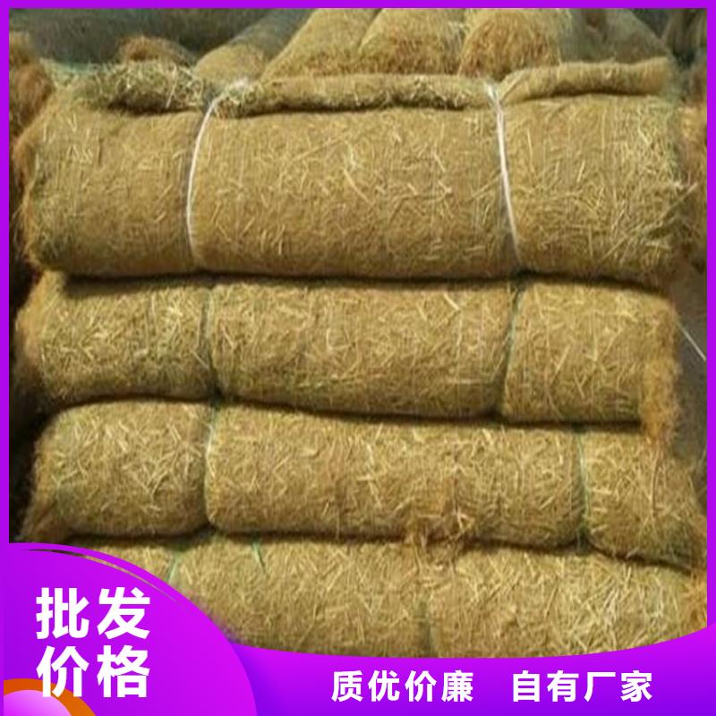 护坡植被植草毯椰丝纤维毯本地经销商