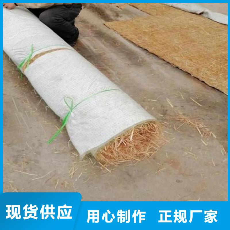 生态植物防护毯环保植草毯出厂严格质检