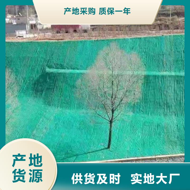抗冲刷生物毯海量现货