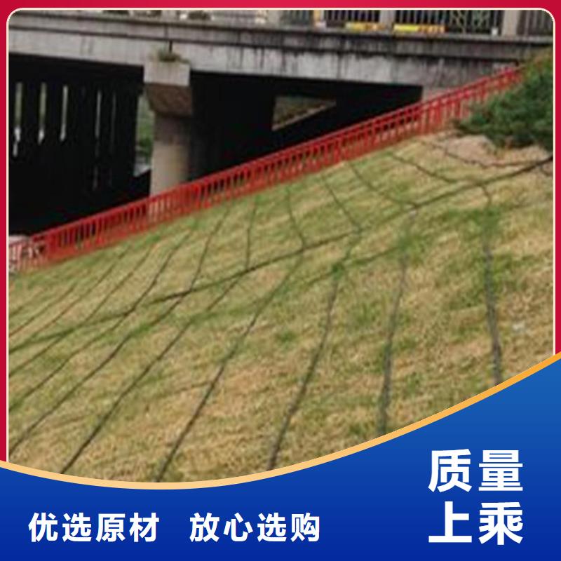 植物纤维毯当地服务商