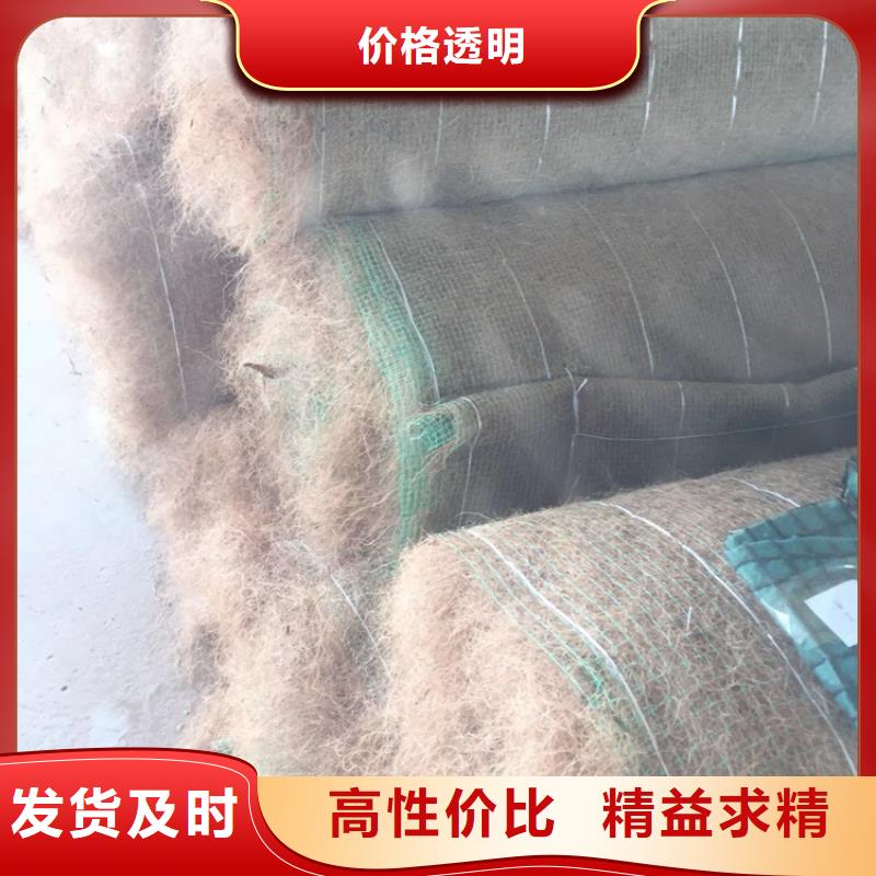 椰纤毯全国送货用好材做好产品