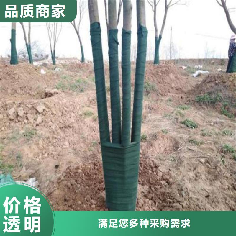 包树布大树保湿棉从源头保证品质