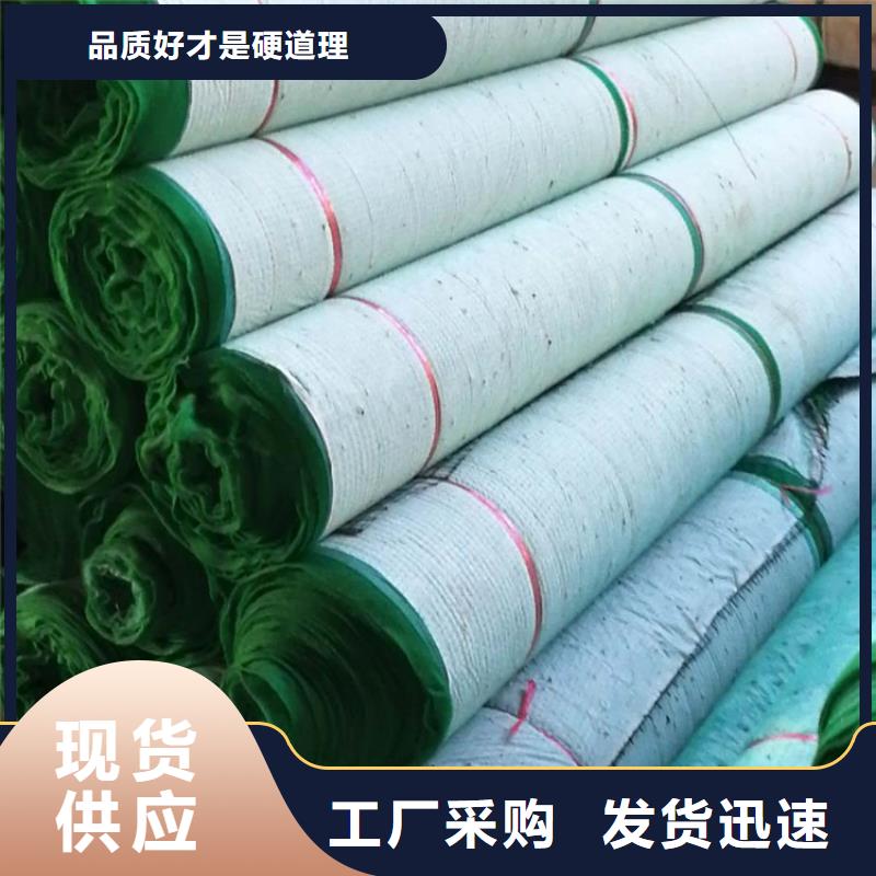 加筋抗冲生态毯经销批发专业生产设备