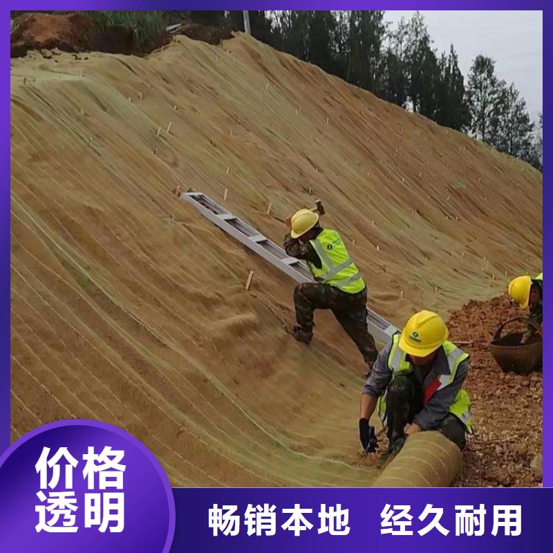 护坡植被植草毯批发供应工厂批发