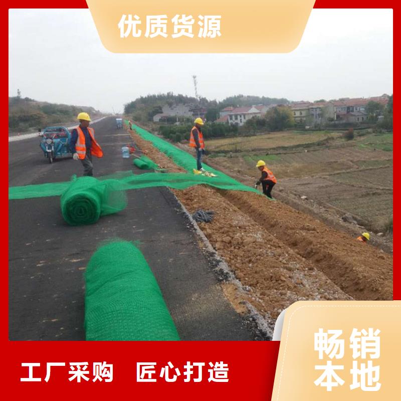 环保固土三维土工网垫产地工厂