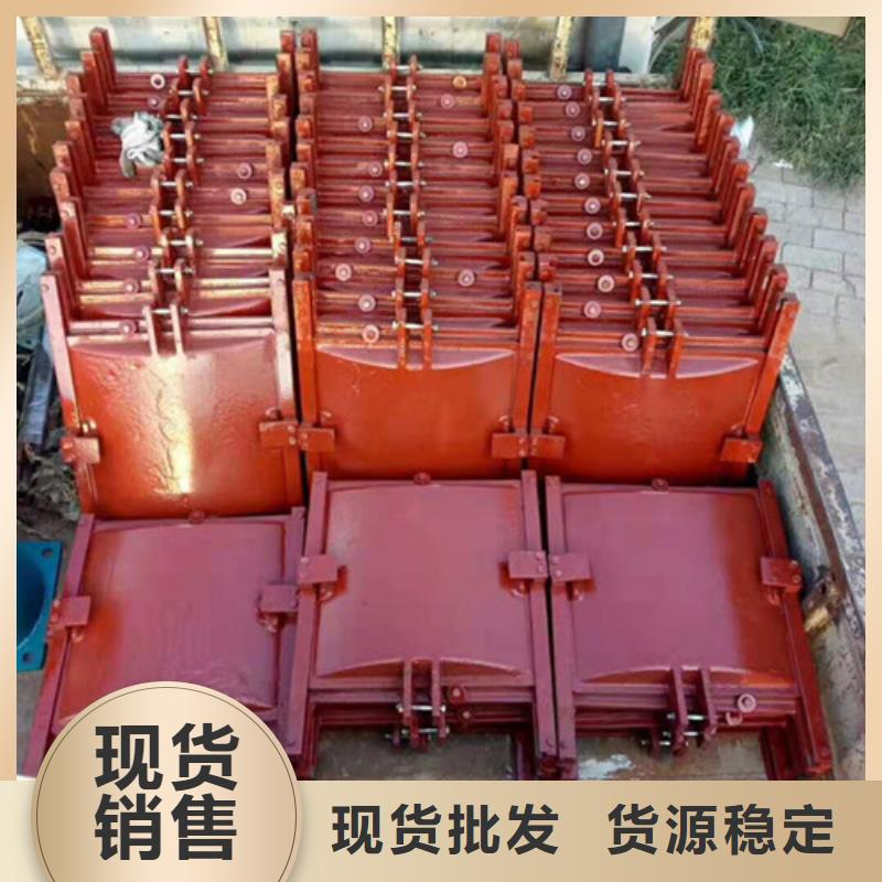 铸铁镶铜闸门-购买省心本地品牌