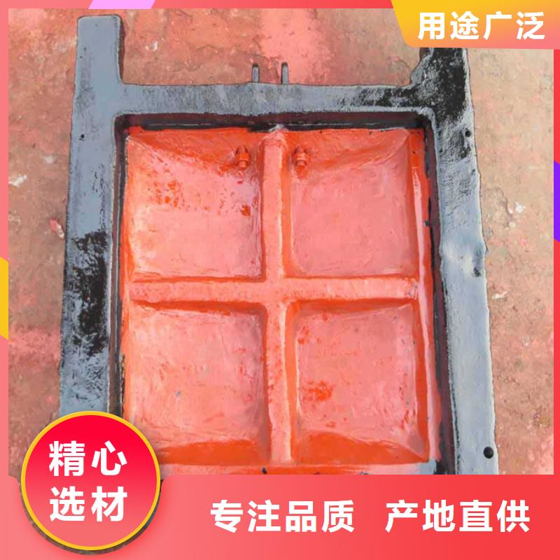 采购PGZ铸铁闸门必看-经验丰富信誉有保证
